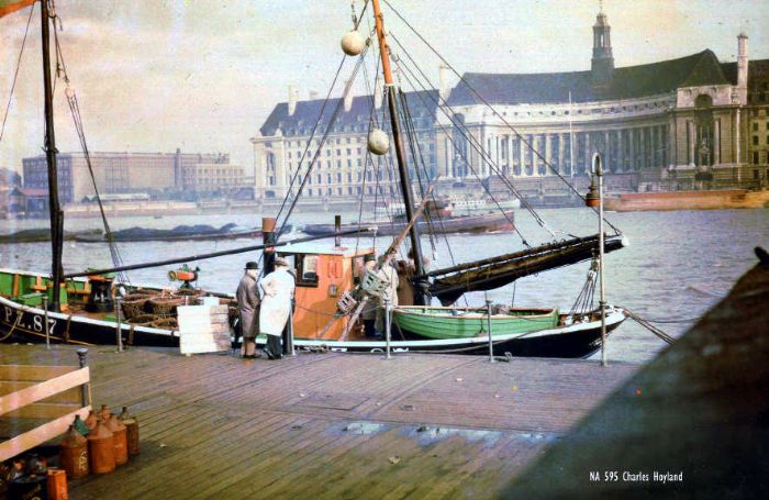 PZ87 Rosebud in Westminster with County Hall on the other side of the Thames. An experimental colour photograph by Charles Hoyland (Margaret Perry Collection)