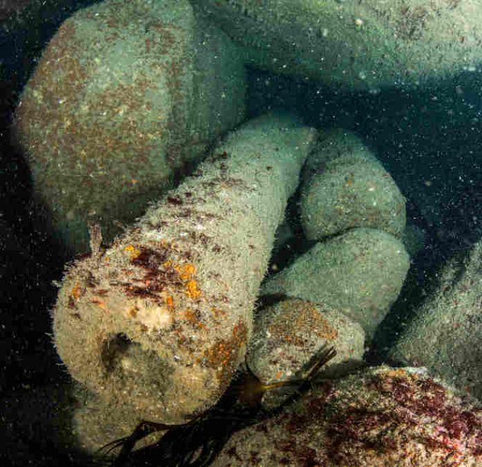 A gun on the seabed, a reminder of the loss of the fleet under Sir Cloudesley Shovell on 16 October 1707 (courtesy of Cornwall and Isles of Scilly Maritime Archaeology Society)