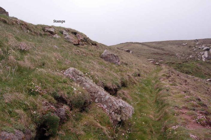 Slope of Carn Vellan showing the Levant leat and above it the position of Sir Vyell's Stamps (photo: Ted Mole)