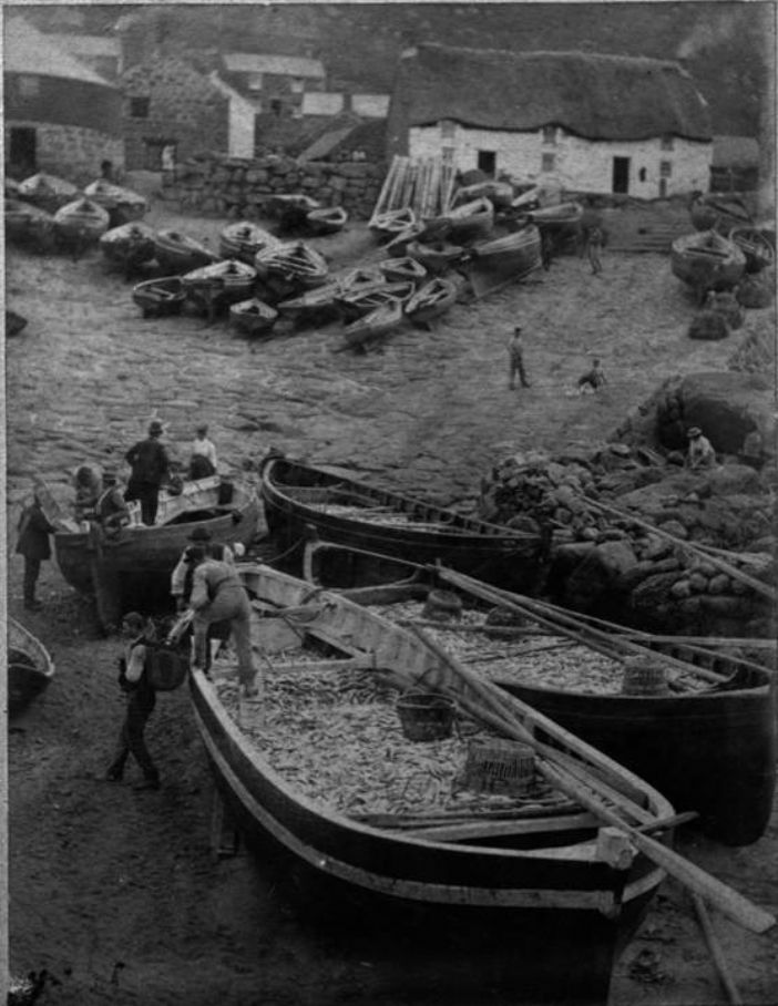 Unloading pilchards from a seine boat at Sennen (Morrab Library Photo Archive)